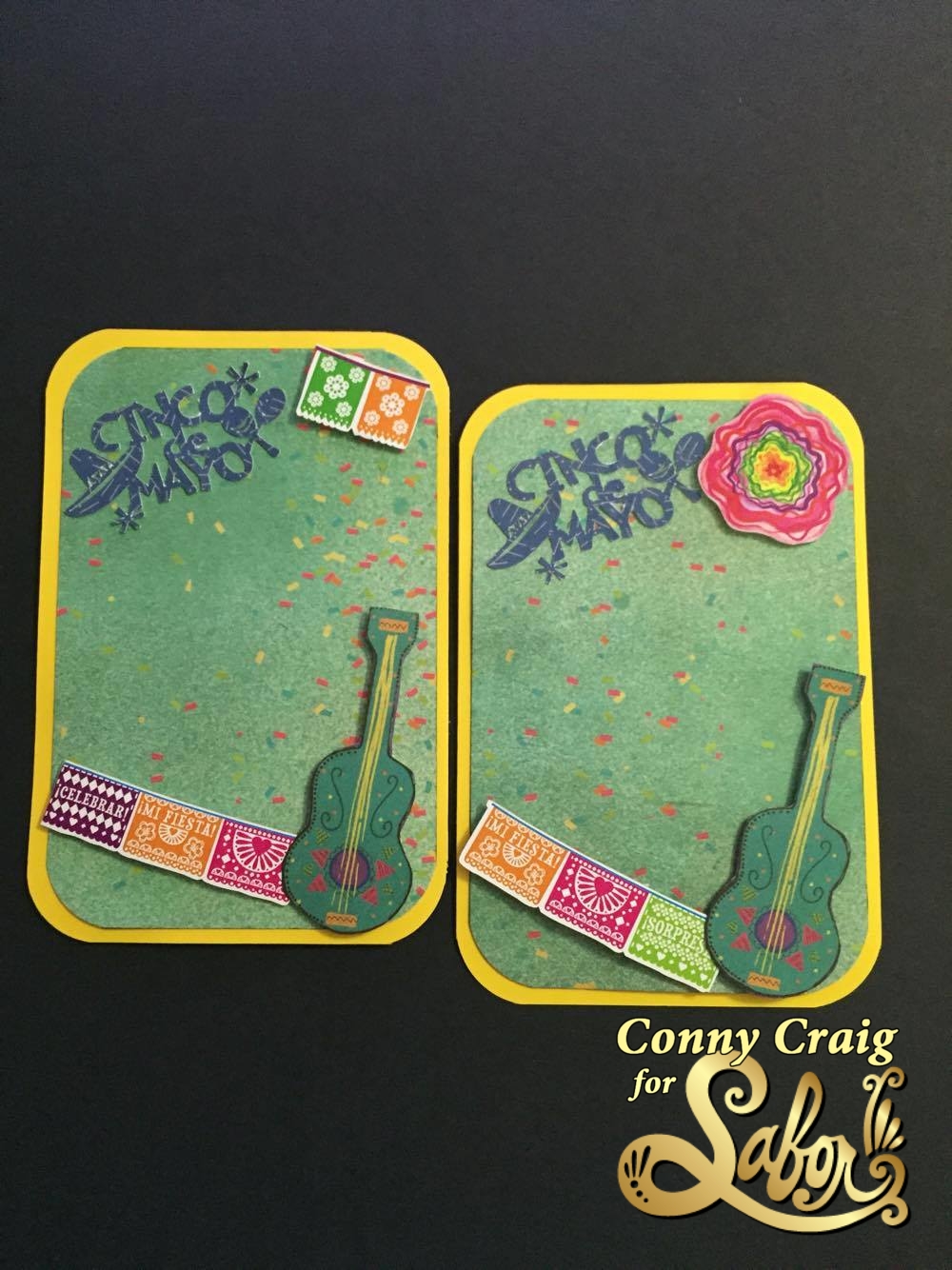 13128672_1052254424867337_148158081_o