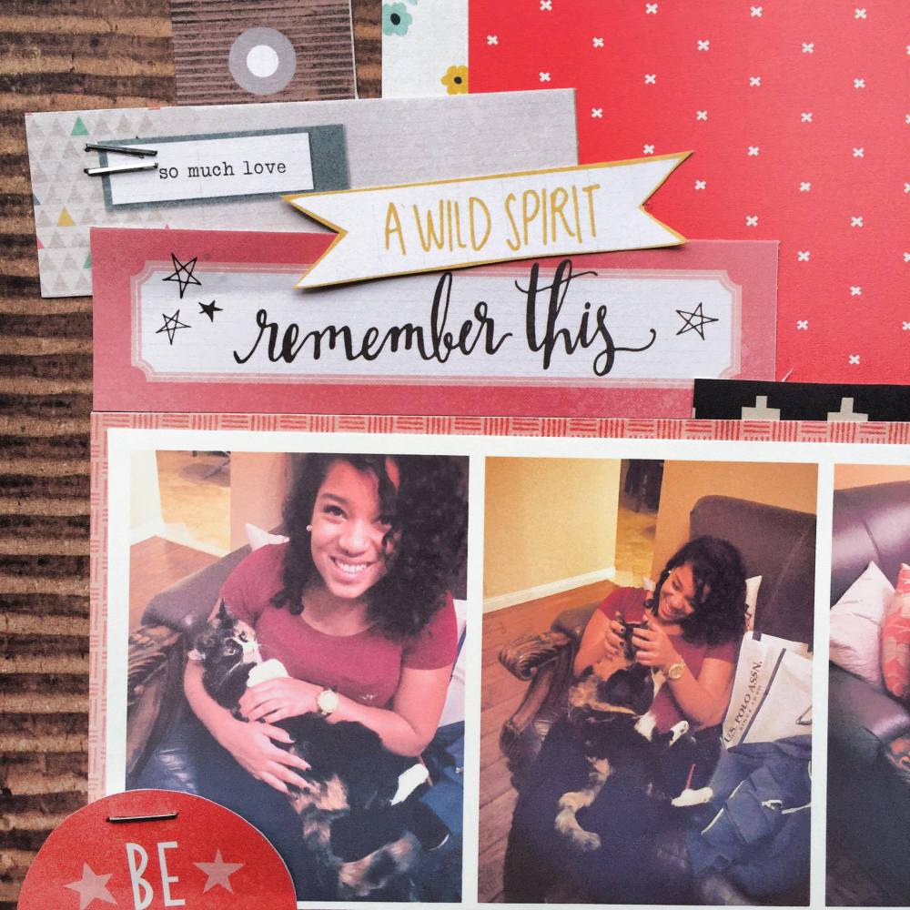 13321098_1070367429722703_1167062713_o