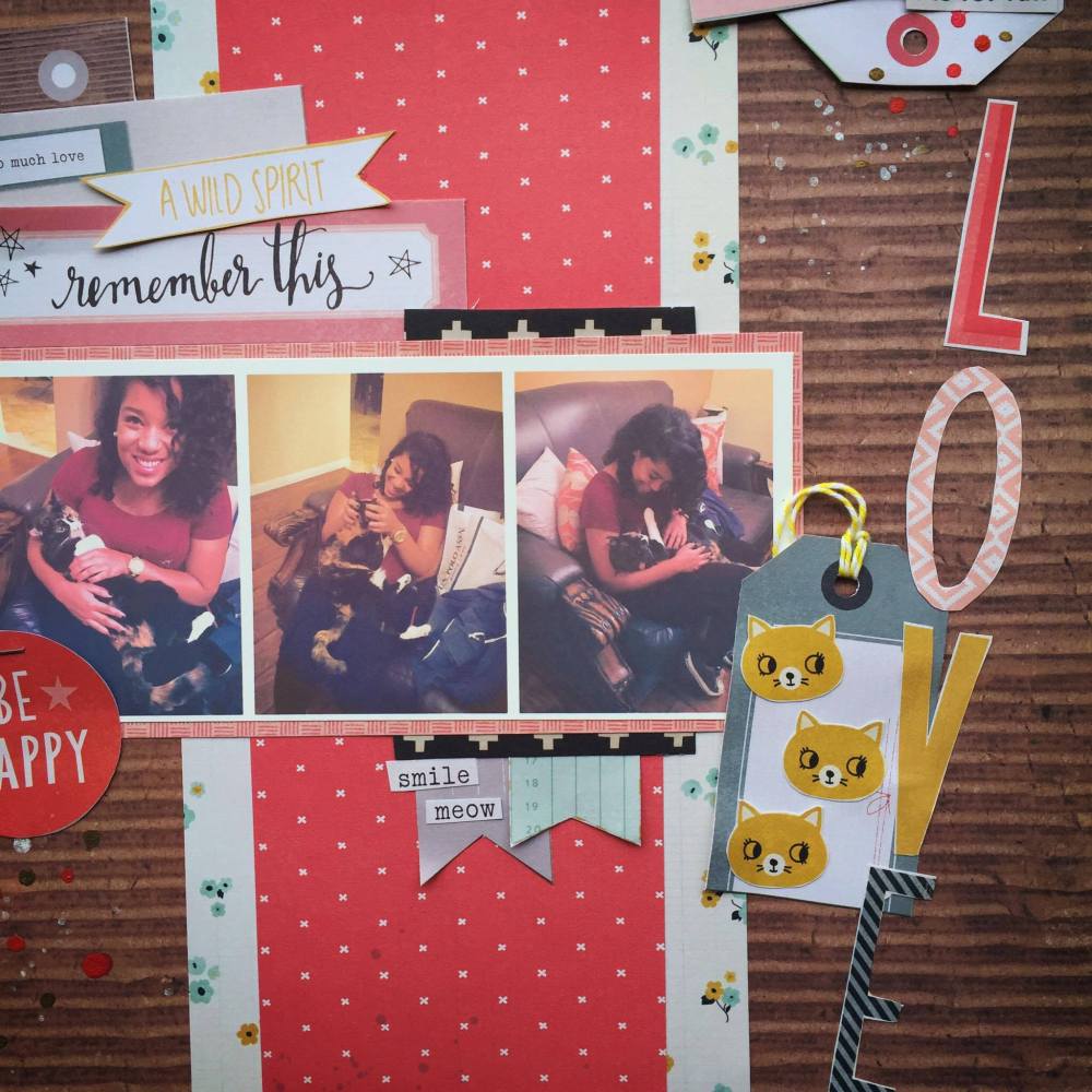 13321293_1070367539722692_967225959_o