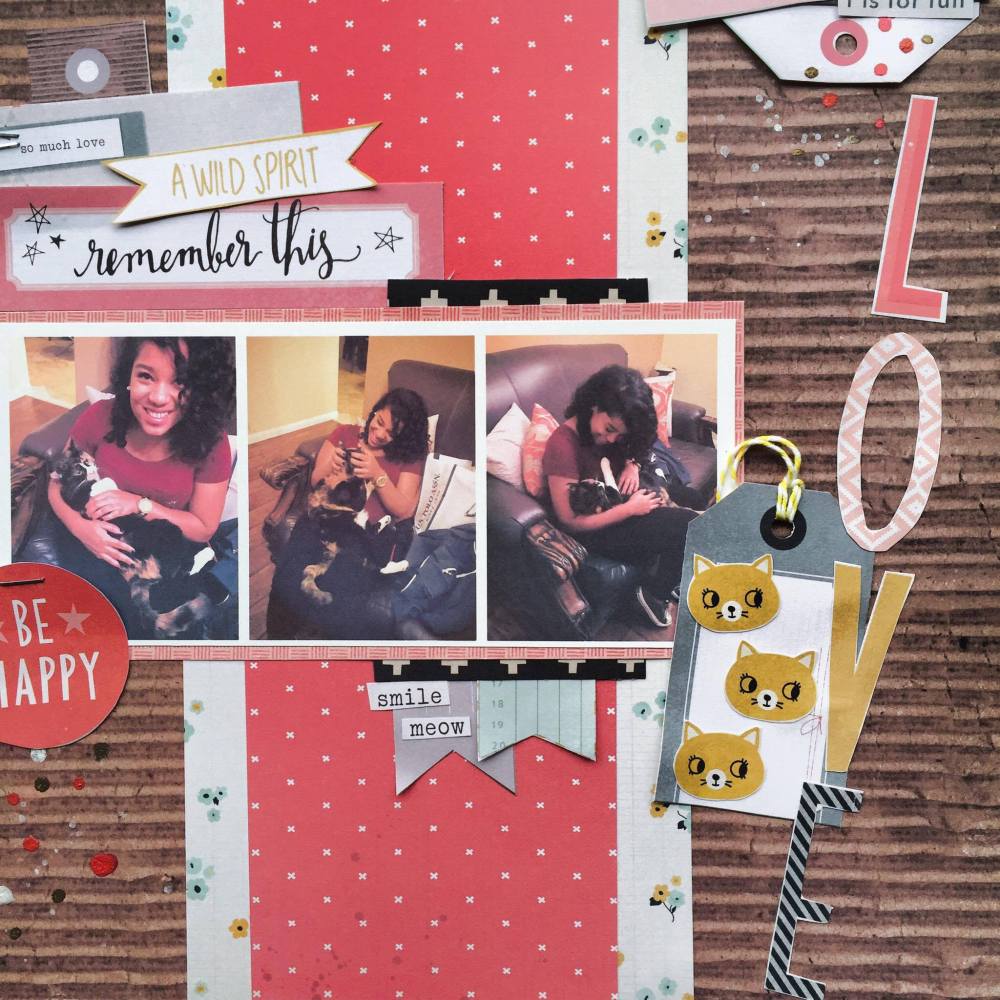 13334312_1070367603056019_816140268_o (1)