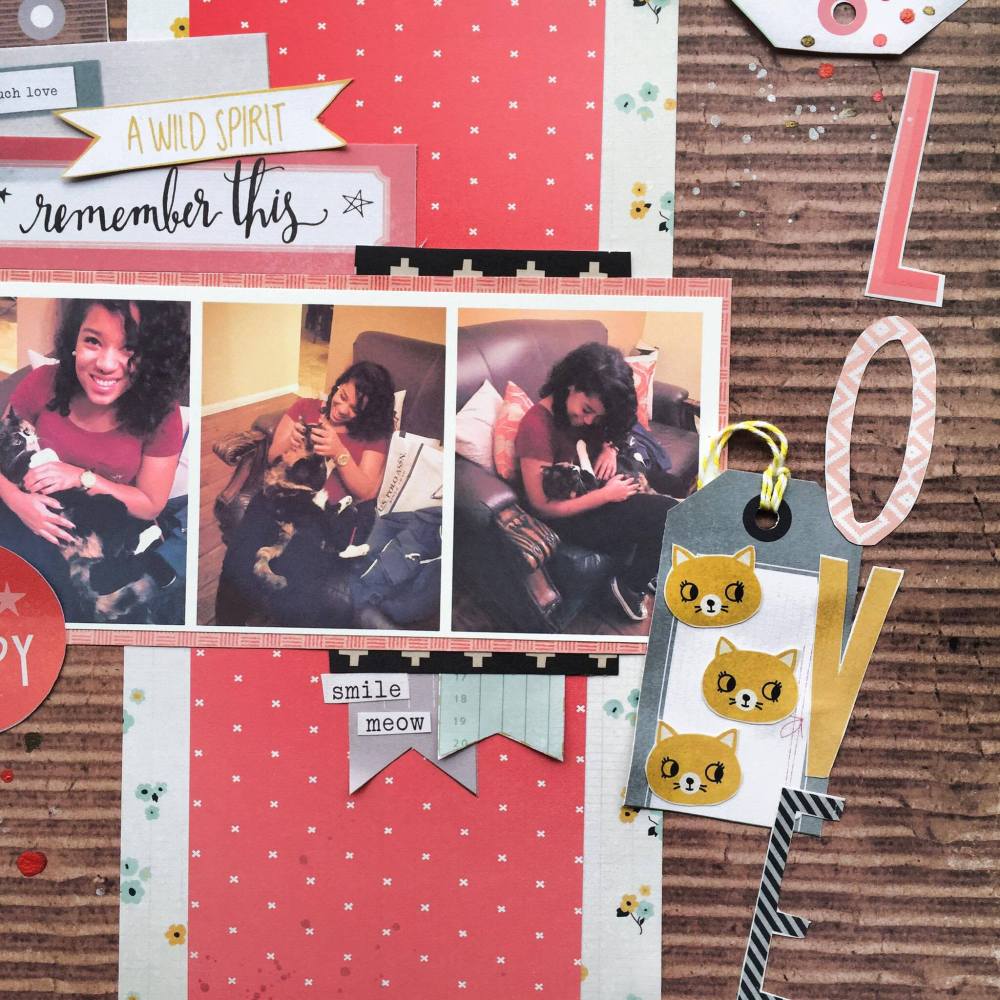 13334592_1070367389722707_981376761_o