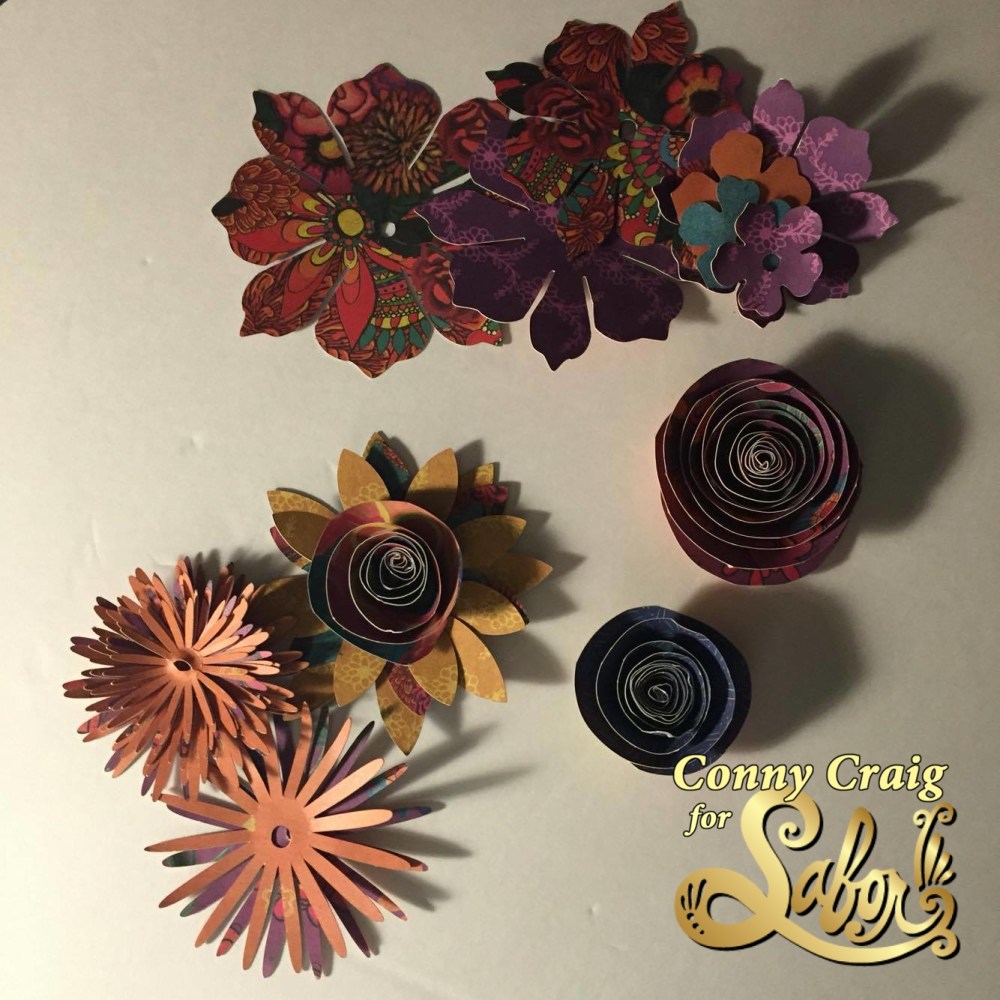 13405551_1080789702013809_2045933247_o (1)