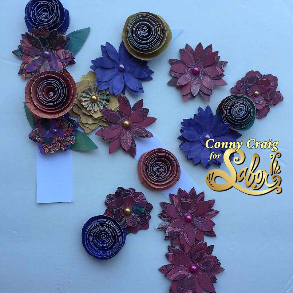 13535805_1091426527616793_463970034_n