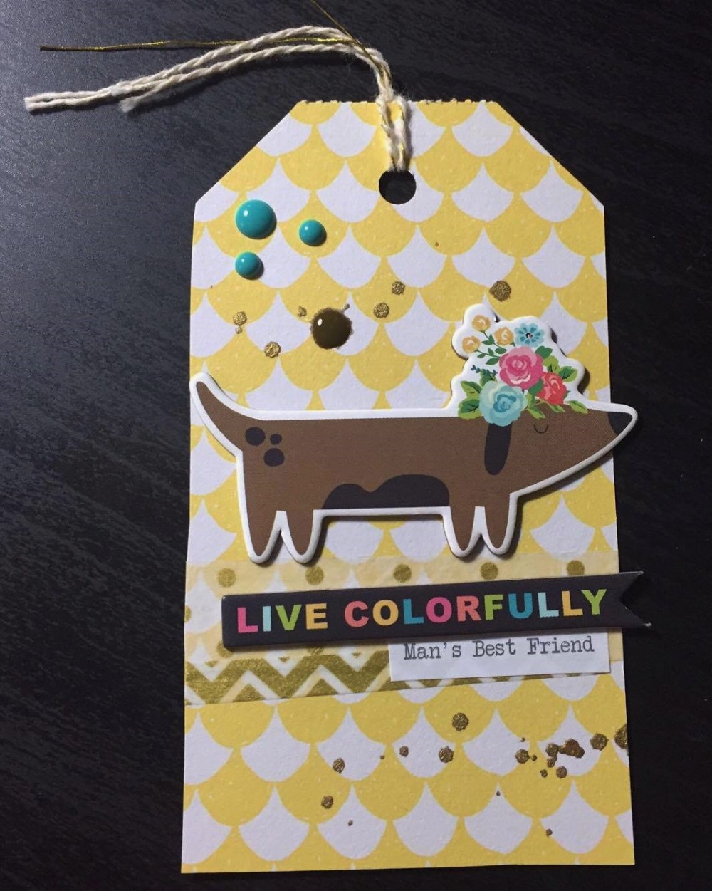 14203588_1148470365245742_649330558_o