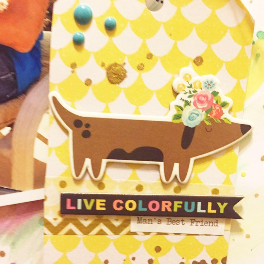 14273504_1148470371912408_300069845_o